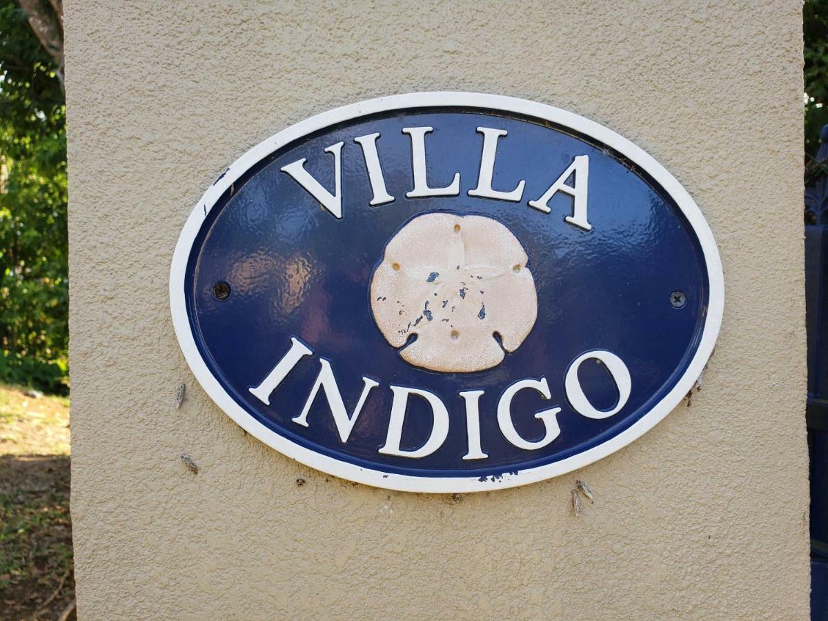 Villa Indigo Sunny 1Br Apartment In Private Gated Estate Charlotte Amalie Dış mekan fotoğraf