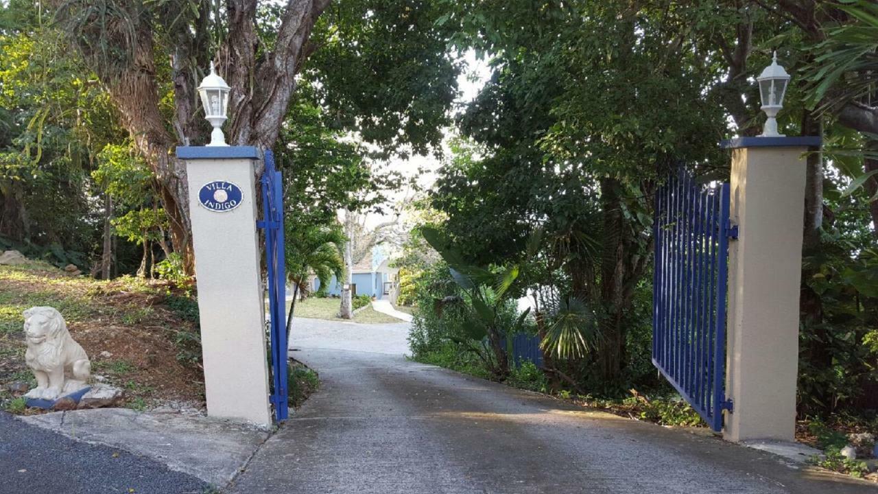 Villa Indigo Sunny 1Br Apartment In Private Gated Estate Charlotte Amalie Dış mekan fotoğraf