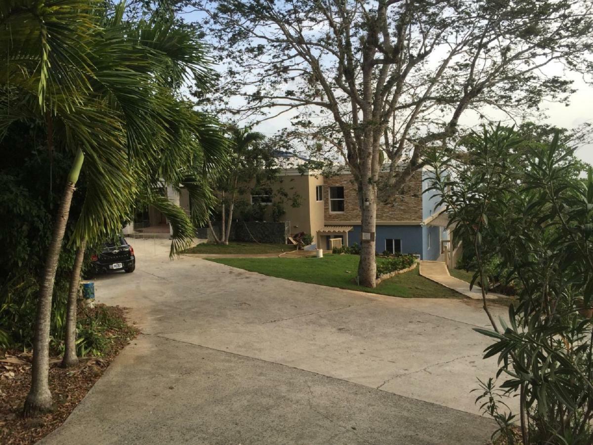 Villa Indigo Sunny 1Br Apartment In Private Gated Estate Charlotte Amalie Dış mekan fotoğraf