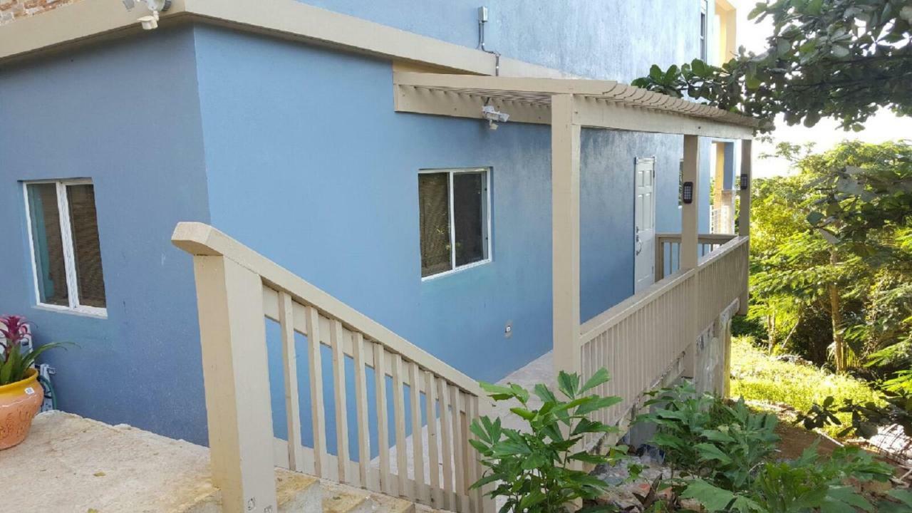 Villa Indigo Sunny 1Br Apartment In Private Gated Estate Charlotte Amalie Dış mekan fotoğraf